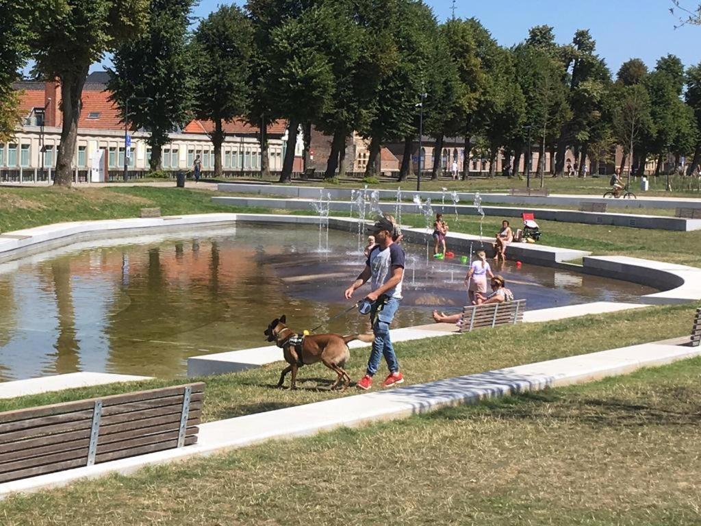 Villa Domus XIX Tongeren Eksteriør bilde